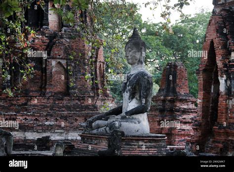 1350年のアユタヤ王朝の創建：タイにおける仏教の台頭と王権の強化